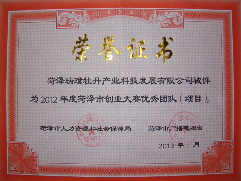 201301菏泽市创业大赛荣誉证书